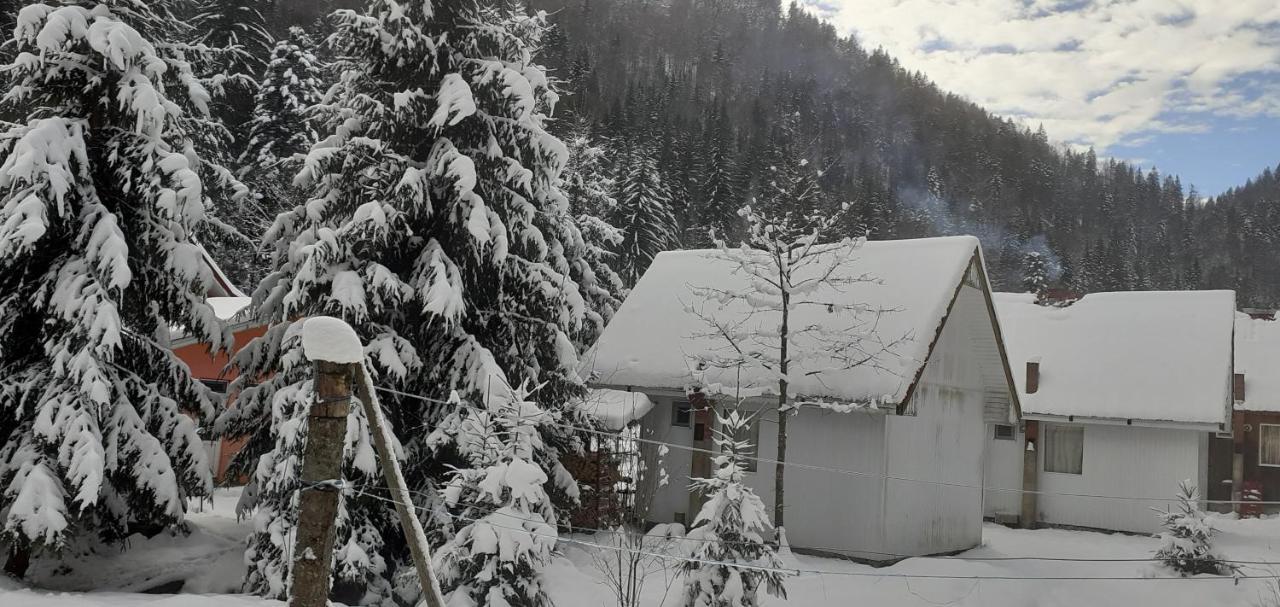 Cabana Valea Stanciului Rachitele Exterior foto
