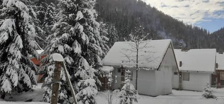 Cabana Valea Stanciului Rachitele Exterior foto